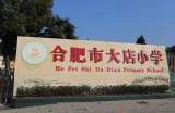 合肥市大店小學(xué)：科創(chuàng)筑夢向未來 幼小銜接添光彩