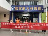 合肥长江路第二小学柏景湾校区一五班开展雏鹰假日小队活动