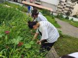 蚌埠九中“二十四節(jié)氣”之小暑節(jié)氣主題活動(dòng)暨2022暑期社會(huì)實(shí)踐活動(dòng)  