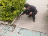 亮党的荣誉，树先进典型  ——天长市王店小学党支部优秀党员风采