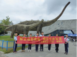 合肥市五一小學(xué)四（4）中隊朝陽小隊參觀安徽地質(zhì)博物館  