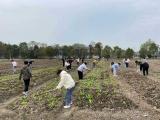 芜湖市青少年社会实践基地荣获“安徽省首批学生劳动教育实践基地立项建设单位”称号    