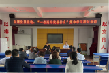桐城市新渡教育集团校老梅中心小学党支部从严从实抓管理谋发展     