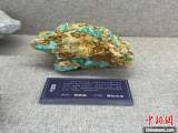 合工大地質(zhì)博物館開館 擁有巢湖龍等珍貴標(biāo)本