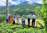 安徽省督查组到岳西县开展第三轮防溺水工作督查