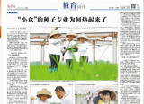 中青报聚焦：“小众”的种子专业为何热起来了