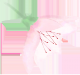 我们的时光      