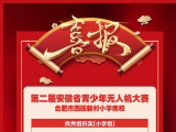合肥西园新村小学南校学生夺得省青少年无人机大赛冠军