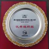 合肥一六八玫瑰园学校荣获全国青少年无人机大赛优秀组织奖