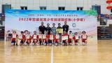 合肥市南门小学恒盛校区排球队女队省赛再获佳绩