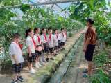 定了！合肥中小学每周至少一节劳动课