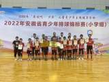 合肥市行知小学：排球冠军展矫健英姿 用行动书写赛场精彩