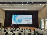学无止境——合肥市淮合花园小学开展暑期校本培训活动