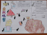 合肥市琥珀名城小学开展“五育并举 赋能成长”主题实践活动