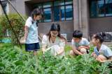 肥西经济开发区观澜公馆幼儿园