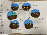 合肥市淮河路第三小学开展“跨‘界’活动，惊‘喜’一夏”趣作业展示