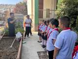 合肥市兴华苑小学：实践出真知，让我们一起走进“田间课堂”