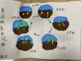 “科”海探秘 精彩无限 ——合肥淮三小“跨‘界’活动  惊‘喜’一夏”趣作业展示之科学篇