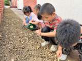 和种子一起成长——合肥市荣幼教育集团开展幼小衔接系列活动
