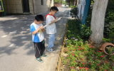 合肥市六安路小学中铁国际城校区二12中队：探索大自然的奥秘
