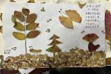 合肥市六安路小学荣城花园分校开展“巧手做叶画”语文学科节活动