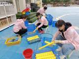 合肥市双岗幼儿园逍然居分园：一起行动，守“卫”健康 
