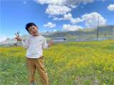 合肥市庐阳实验幼儿园教育集团四里河畔园：“淘气小鱼”讲故事《我喜欢自己》
