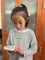 合肥市芙蓉小学：学习宪法、禁毒知识