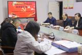 合肥市南门小学湖畔花园分校喜迎“庐阳区星级党支部创评考核现场验收”