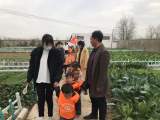 以劳育人  浸润童心 —— 怀远县龙亢镇黄洼幼儿园参观劳动教育基地       