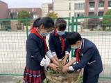 蔬果飘香采摘忙 畅享初冬好时光——合肥市郎溪路小学举行“采摘节”系列活动