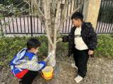 亲近自然伴成长，我给小树穿冬装 —— 怀远县幼儿园教育集团大班组开展大阅读延伸活动            