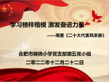 学习榜样楷模 激发奋进力量——合肥市锦绣小学党支部党员教师观看《二十大代表风采录》