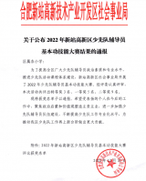 合肥市方桥小学少先队大队辅导员黄子盈老师喜获新站高新区少先队辅导员基本功技能大赛特等奖