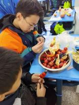 合肥市第四十五中学橡树湾校区：小试牛刀初体验 其乐融融品果香