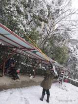 2022年合肥市淮合花园小学开展基层党建工作