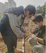合肥一六八玫瑰园学校东校区：播种春天，静待成长