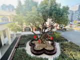 我会陪着你一起变好——合肥市大店小学举行2023年新学期开学典礼