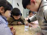 合肥安幼教育集团城市之光分园：会站立的牙签
