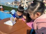 合肥市安庆路幼儿园教育集团总园：十二生肖妙趣多 传统文化乐传承