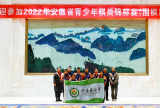 合肥市兴海苑小学教育集团：兴小棋童省赛获佳绩