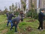 合肥一六八玫瑰园学校南校区：种植毕业纪念树 感恩母校培育情