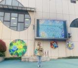 合肥市宿州路幼兒園教育集團森林城分園：兒歌相伴 唱響童年