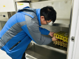 合肥市安庆路幼儿园教育集团桃蹊分园：食品安全记于心，抽样检验促规范