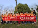 合肥市五一小学：正是一年春好处，植树添绿正当时