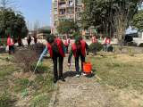 传承雷锋精神，倡导志愿服务  ——宁国市东津小学开展志愿服务主题党日活动