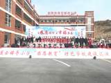 安庆市教体局到岳西县莲云辅导小学开展特色学校创建验收