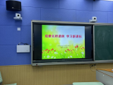 合肥市跃进小学：观摩名师课例 学习新课标
