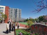 合肥育新小学：督导优质均衡创建  促进办学品质提升