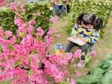 合肥市安幼教育集团桃蹊分园中一班开展“春天花会开”主题活动